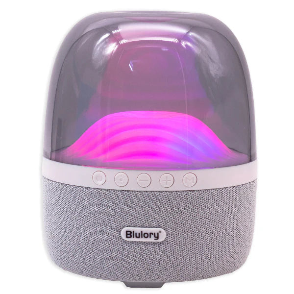 Caixa De Som Blulory Bs 801