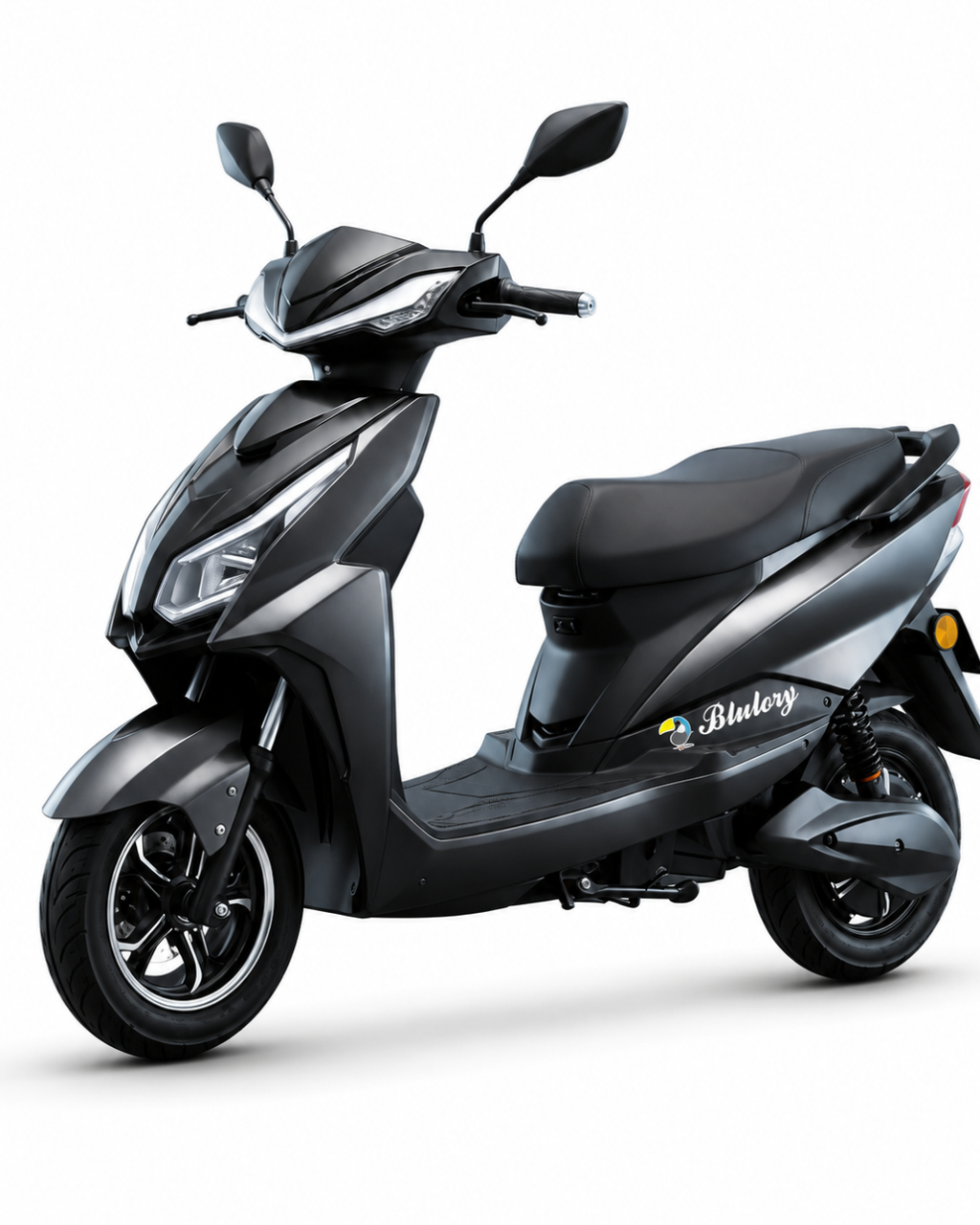 Moto Eléctrica Blulory ZL9 PRO 1.000W