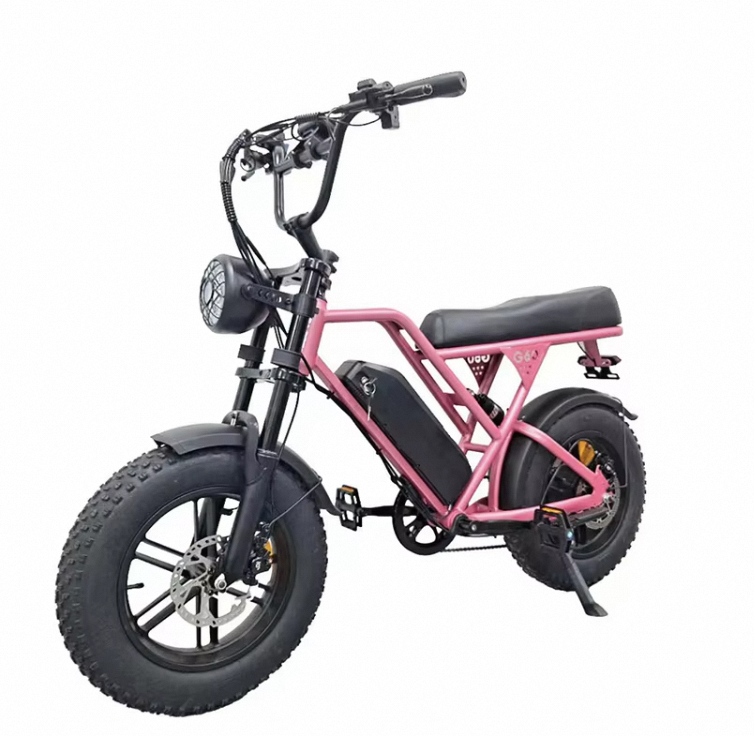 Bicicleta eléctrica Blulory G60 Mini