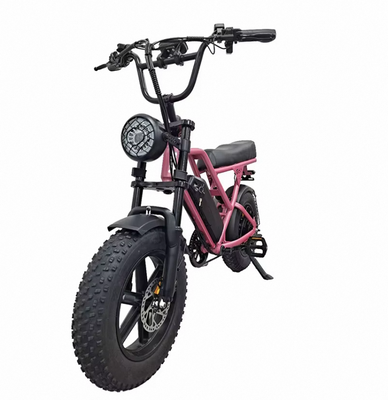 Bicicleta Eléctrica Blulory G60 Mini