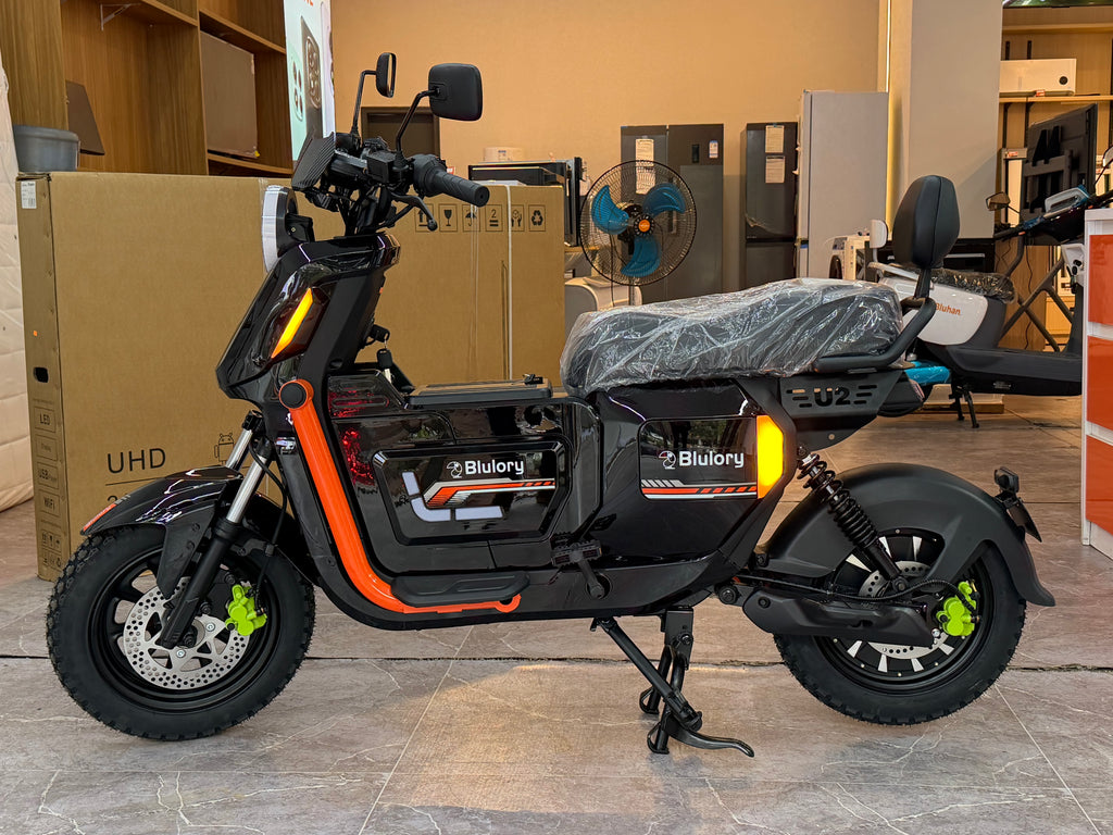 Moto Eléctrica Blulory U2 Pro