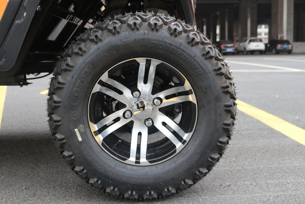 Carrito de Golf Eléctrico Bluhan BY020TY Todo Terreno Solar - 2 Asientos