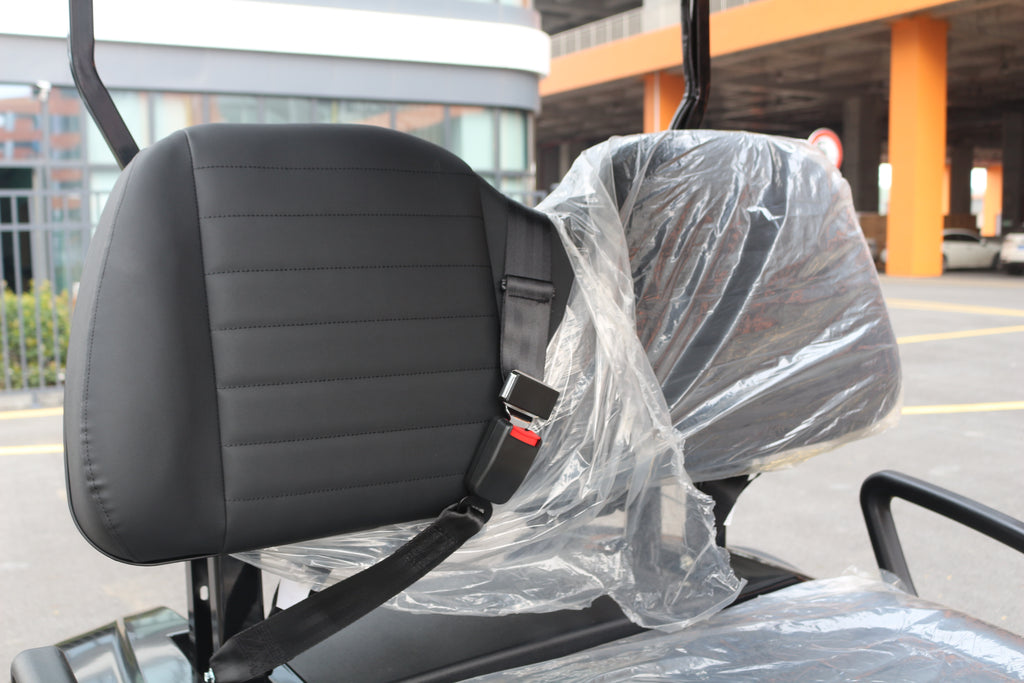 Carrito de Golf Eléctrico Bluhan BY020TY Todo Terreno Solar - 2 Asientos