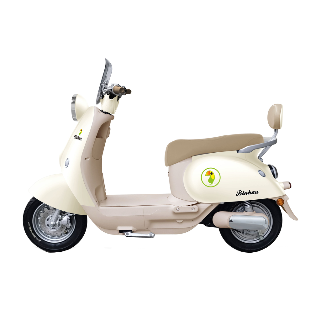 Motocicleta Eléctrica Bluhan Mi Paris 1000w