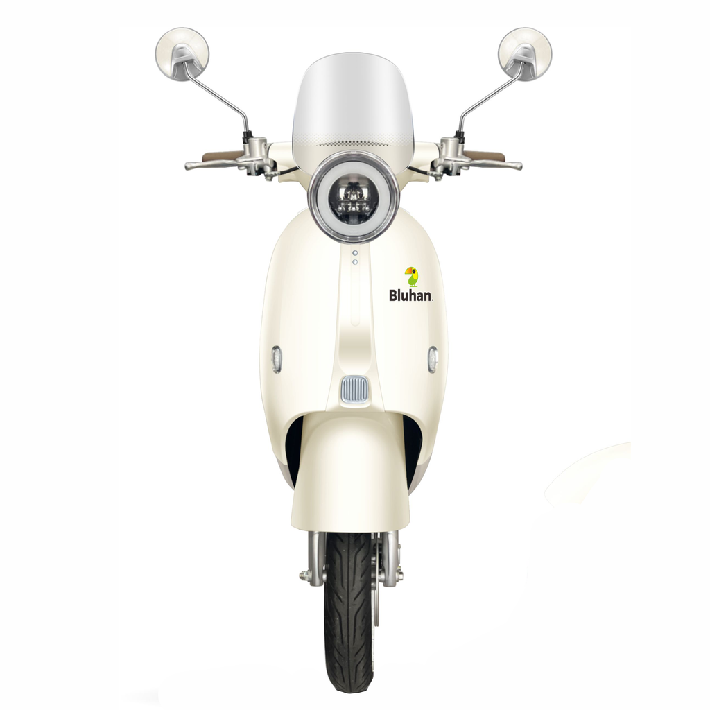 Motocicleta Eléctrica Bluhan Mi Paris 1000w
