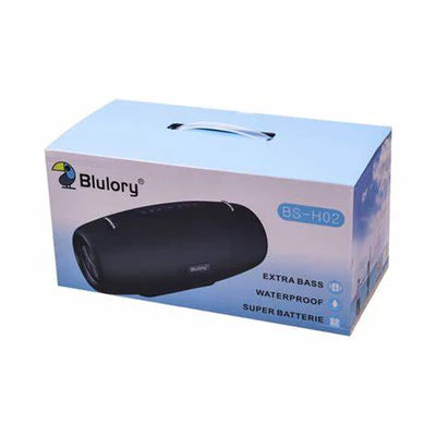 Caixa De Som Blulory Bs H02