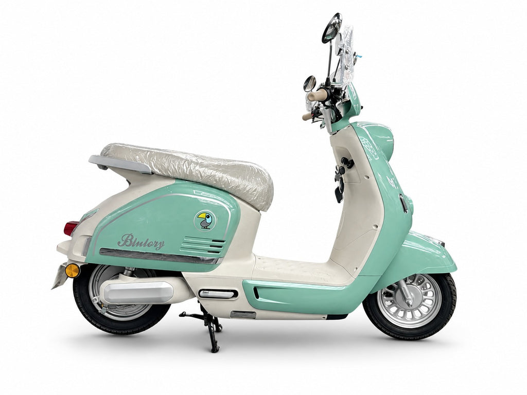 MOTO ELÉCTRICA BLULORY MILAN PRO 1.000W