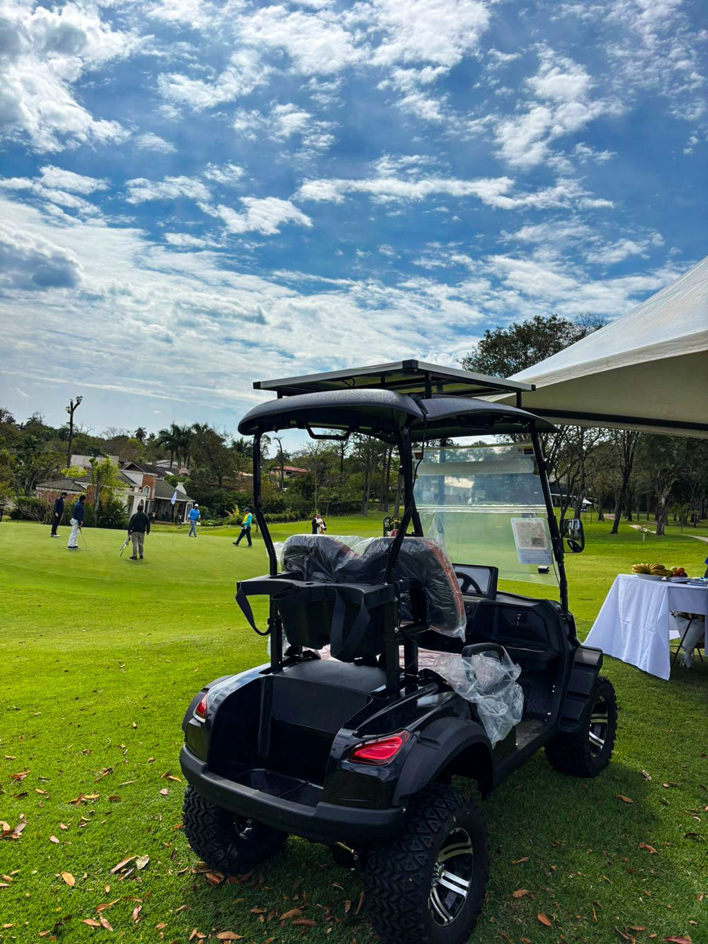 CARRITO DE GOLF BLUHAN BY020TY 2 LUGARES CON PANEL SOLAR NEGRO