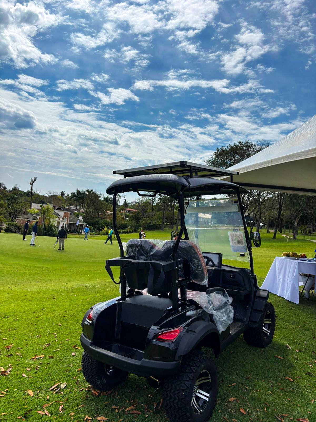 CARRITO DE GOLF BLUHAN BY020TY 2 LUGARES CON PANEL SOLAR NEGRO