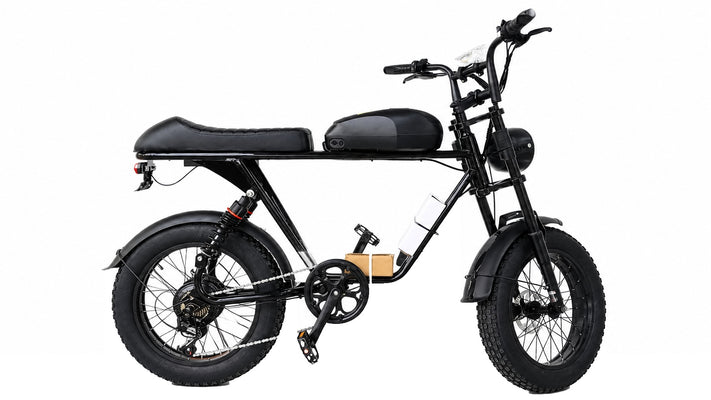 Bicicleta Eléctrica Blulory M2 20"