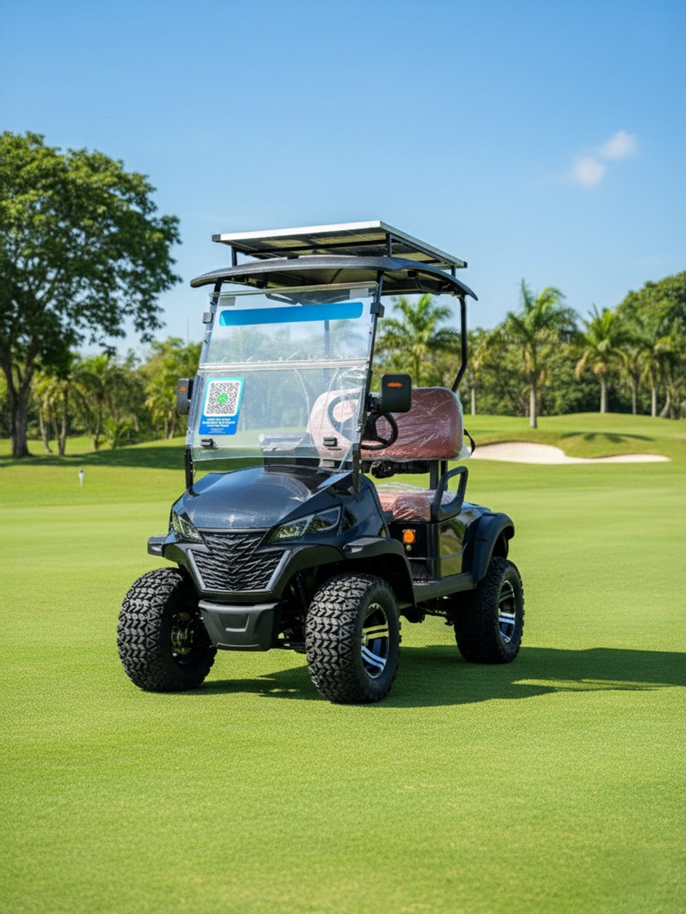 CARRITO DE GOLF BLUHAN BY020TY 2 LUGARES CON PANEL SOLAR NEGRO