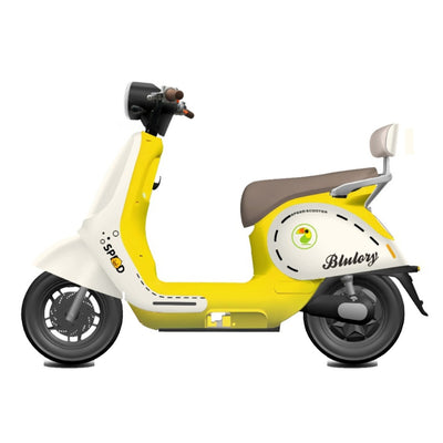 Moto Eléctrica Blulory Q5
