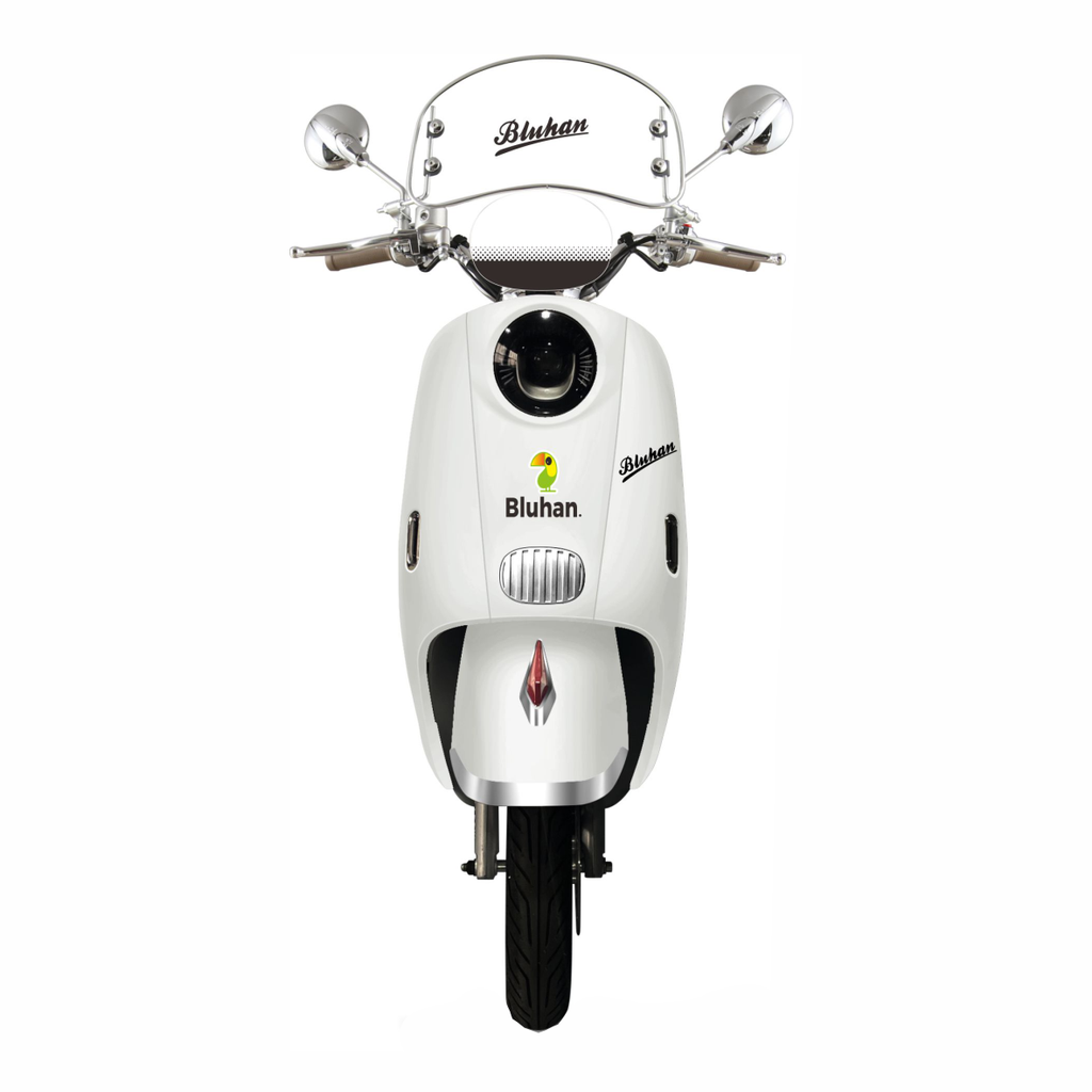 Motocicleta Eléctrica Bluhan Paris Pro 1000w