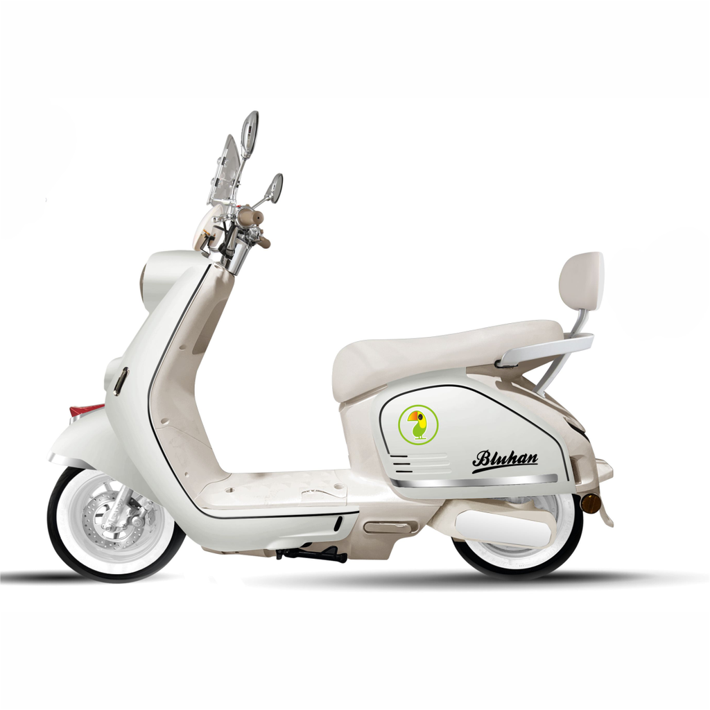 Motocicleta Eléctrica Bluhan Paris Pro 1000w