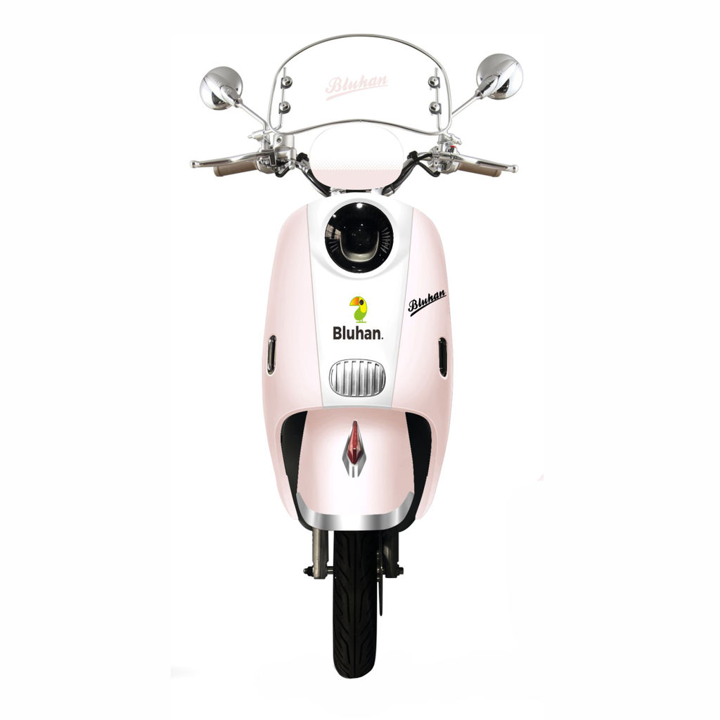 Motocicleta Eléctrica Bluhan Paris Pro 1000w