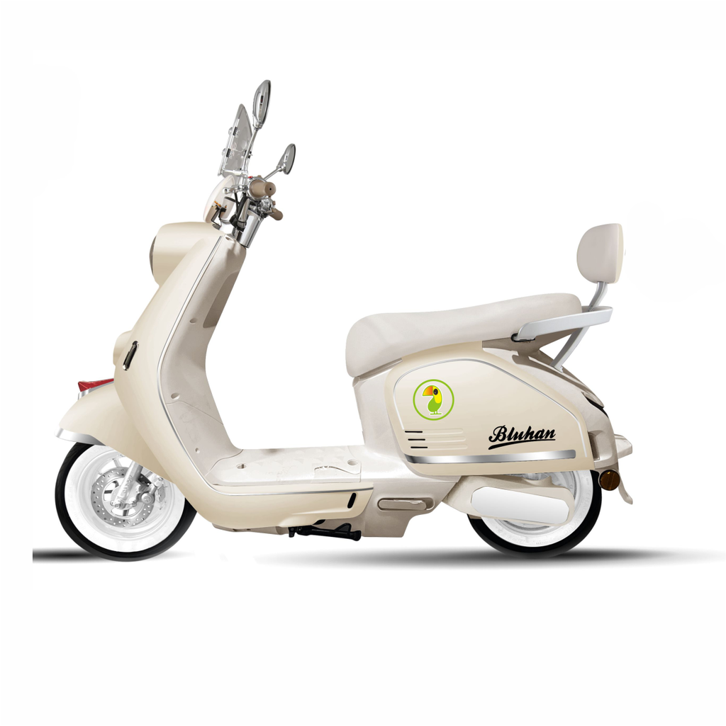 Motocicleta Eléctrica Bluhan Paris Pro 1000w